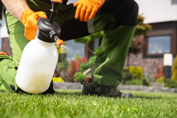 Reliable Sharon, MS Pest Control Solutions