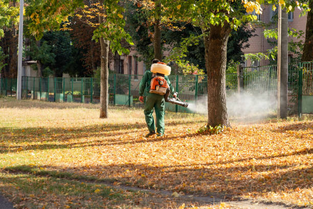 Best Best Pest Control Companies  in Sharon, MS